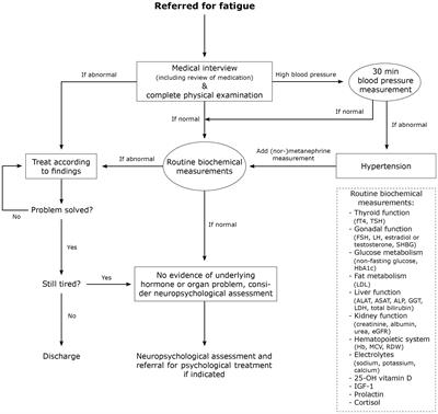 Endocrine and non-endocrine causes of fatigue in adults with Neurofibromatosis type 1